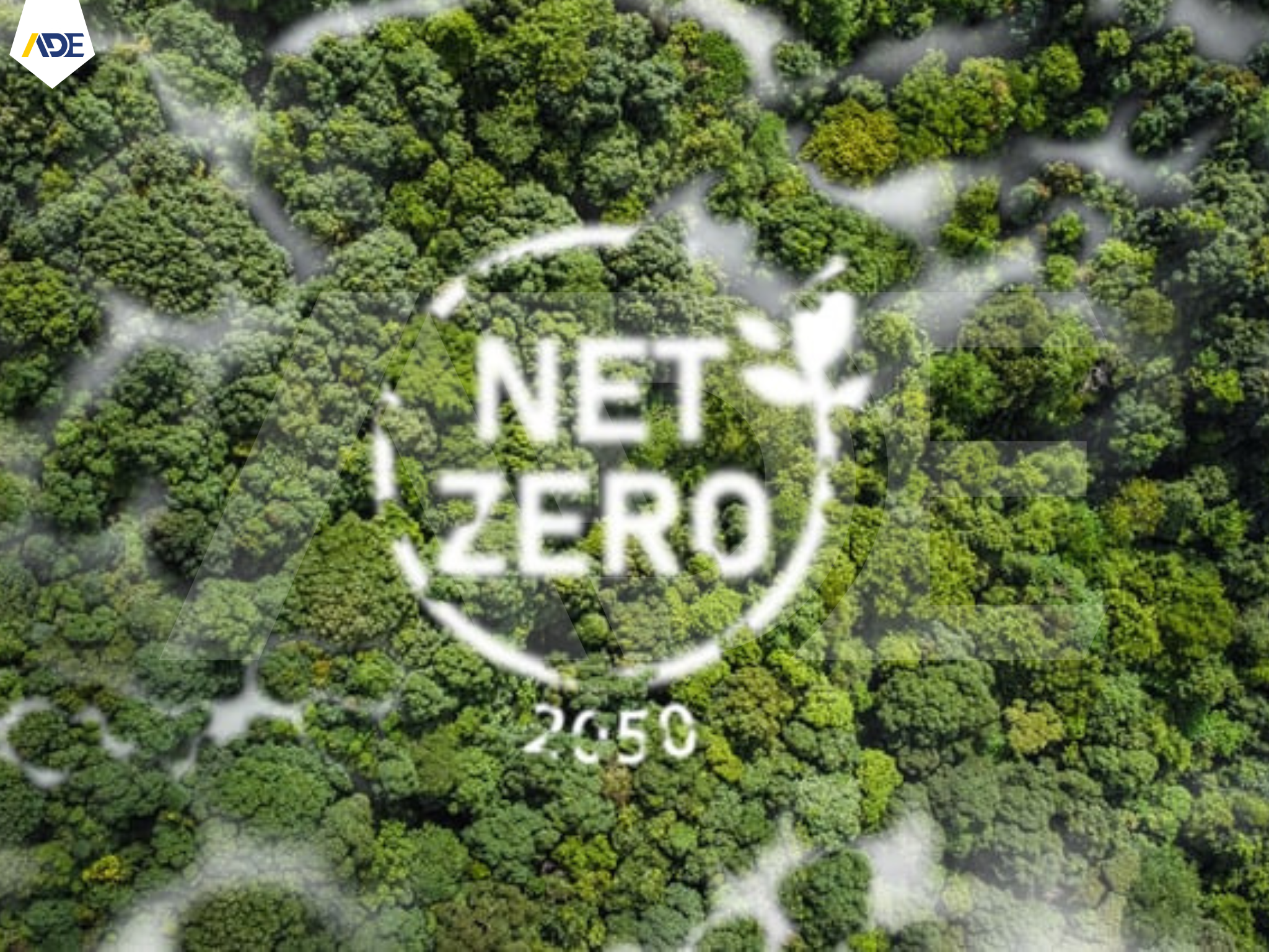 NET ZERO - ADE
